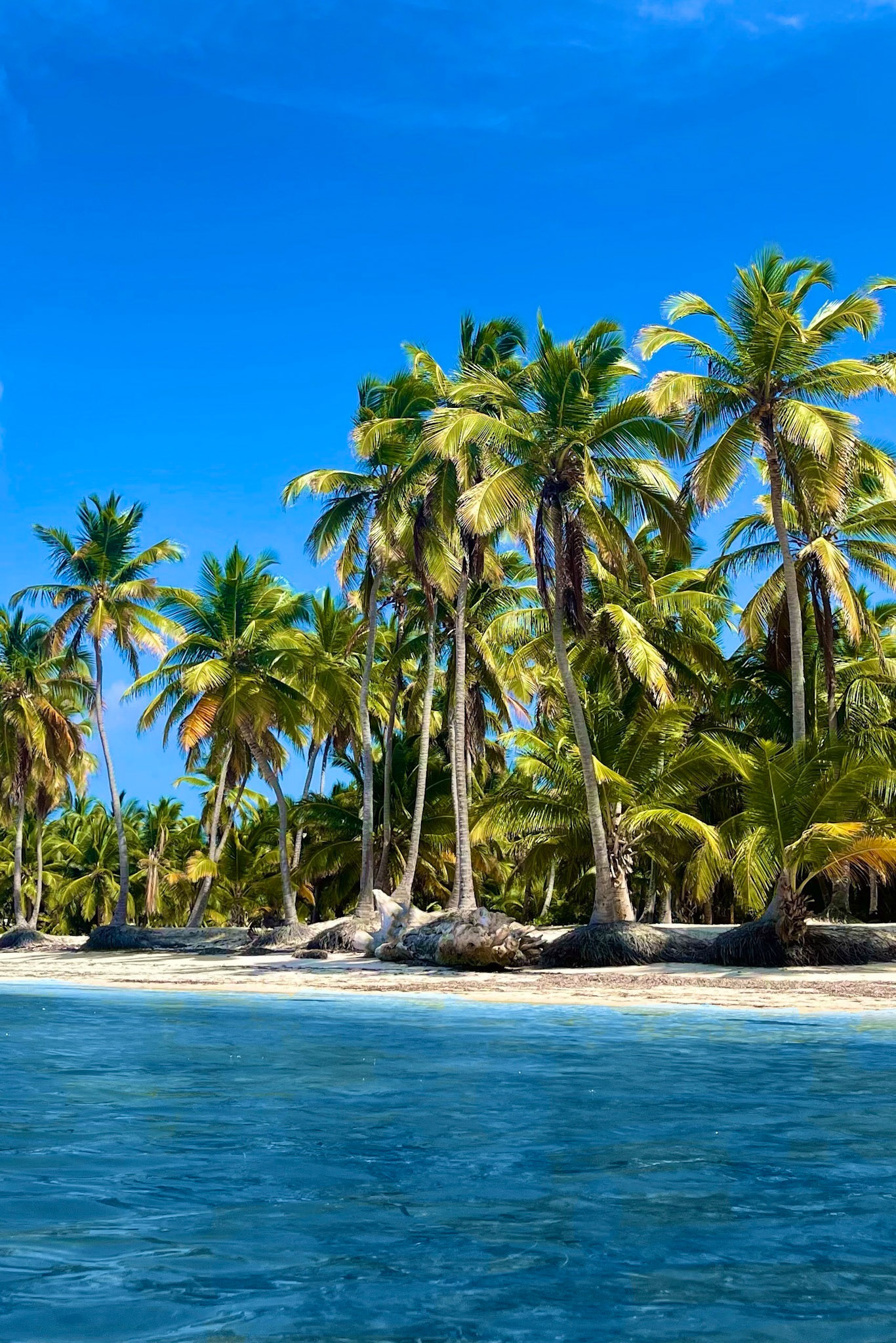5-dominikana-saona-wyspa-plaza-palmy-dominican-republic-saona-island-beach