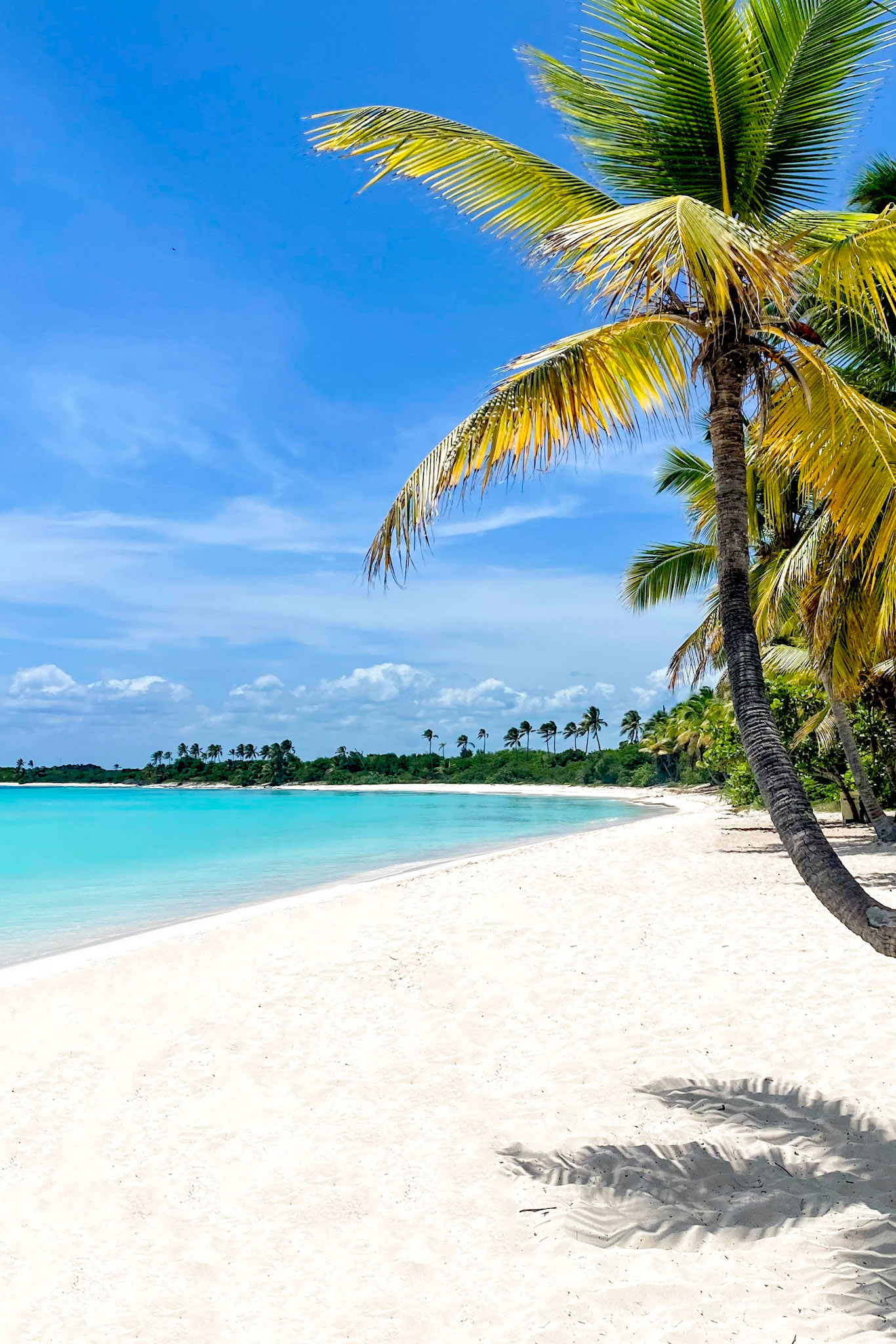 7-biala-plaza-saona-dominikana-white-beach-dominican-republic